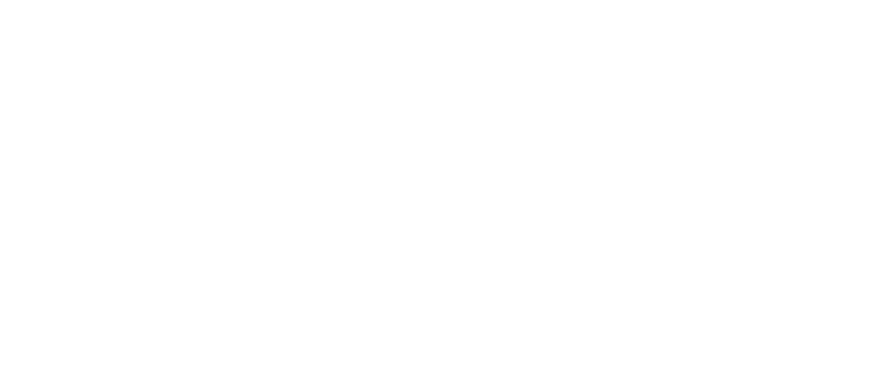Autos Vega Group
